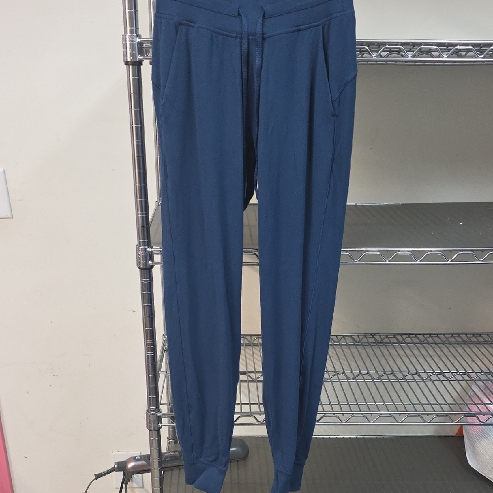 Lululemon athletica Women's  Blue Joggers